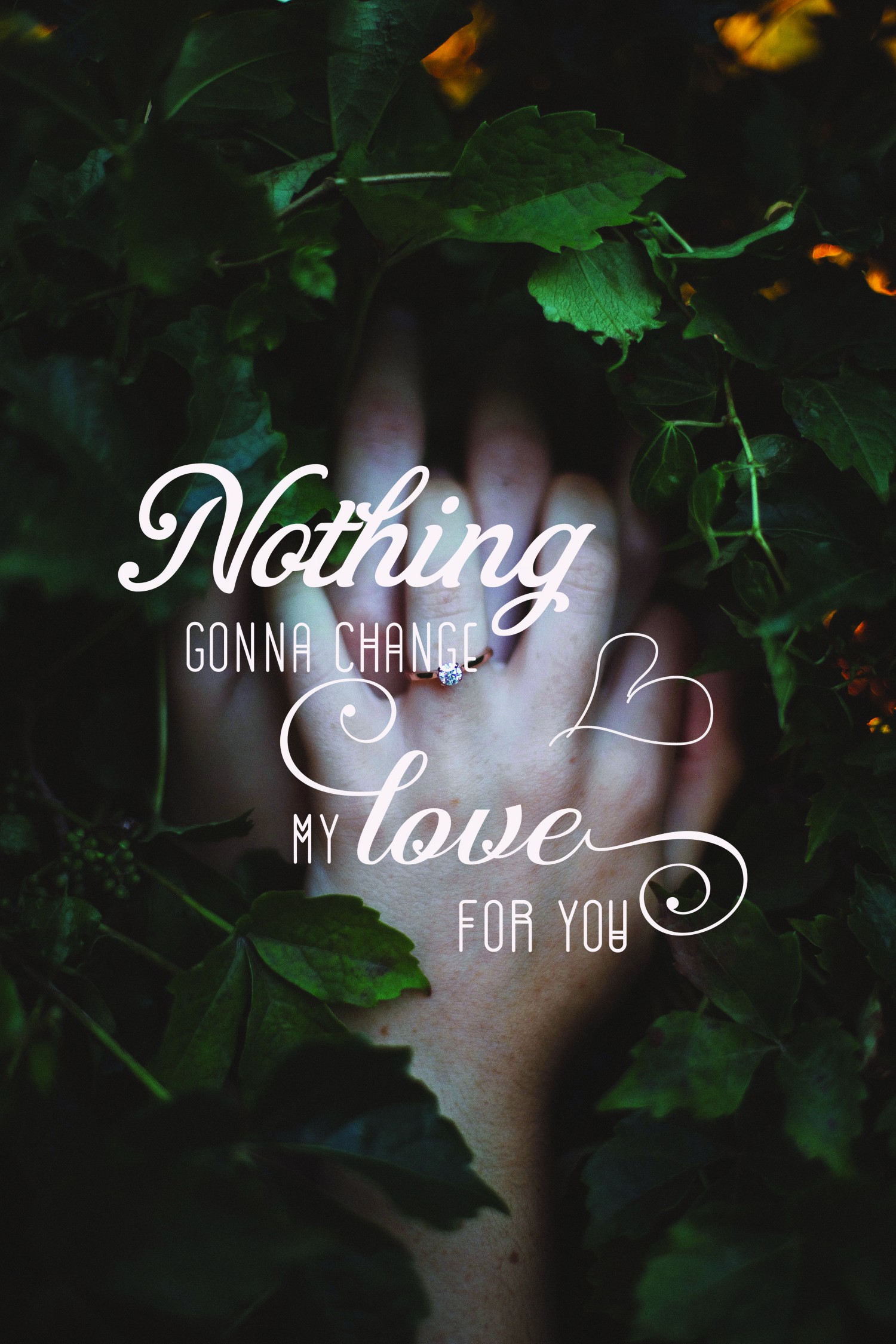 Nothing gonna change my love for you