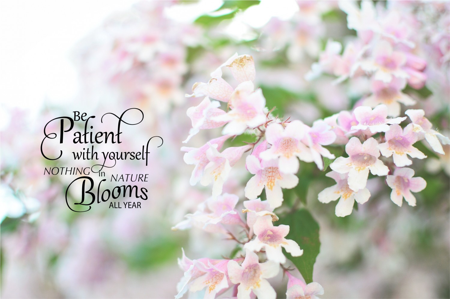 BTVN AI Buổi 3 Typography