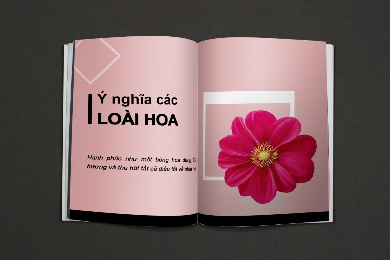 [BTCK] LÊ THỊ NGỌC ÁNH - PS 19.4