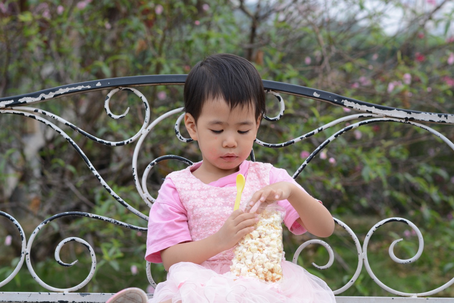 Đối xứng 1