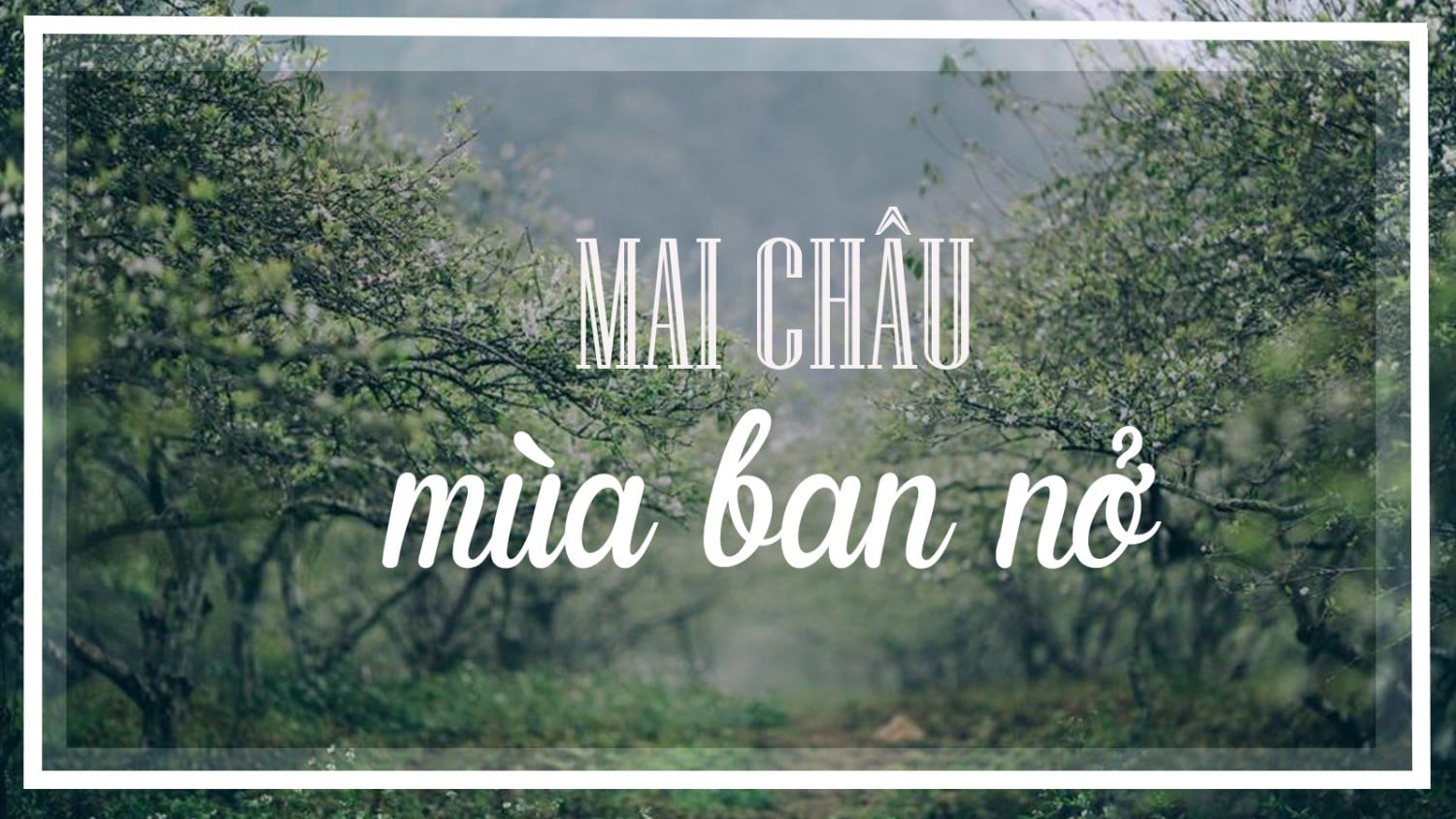 BTVN BUỔI 2 - PS 20.5