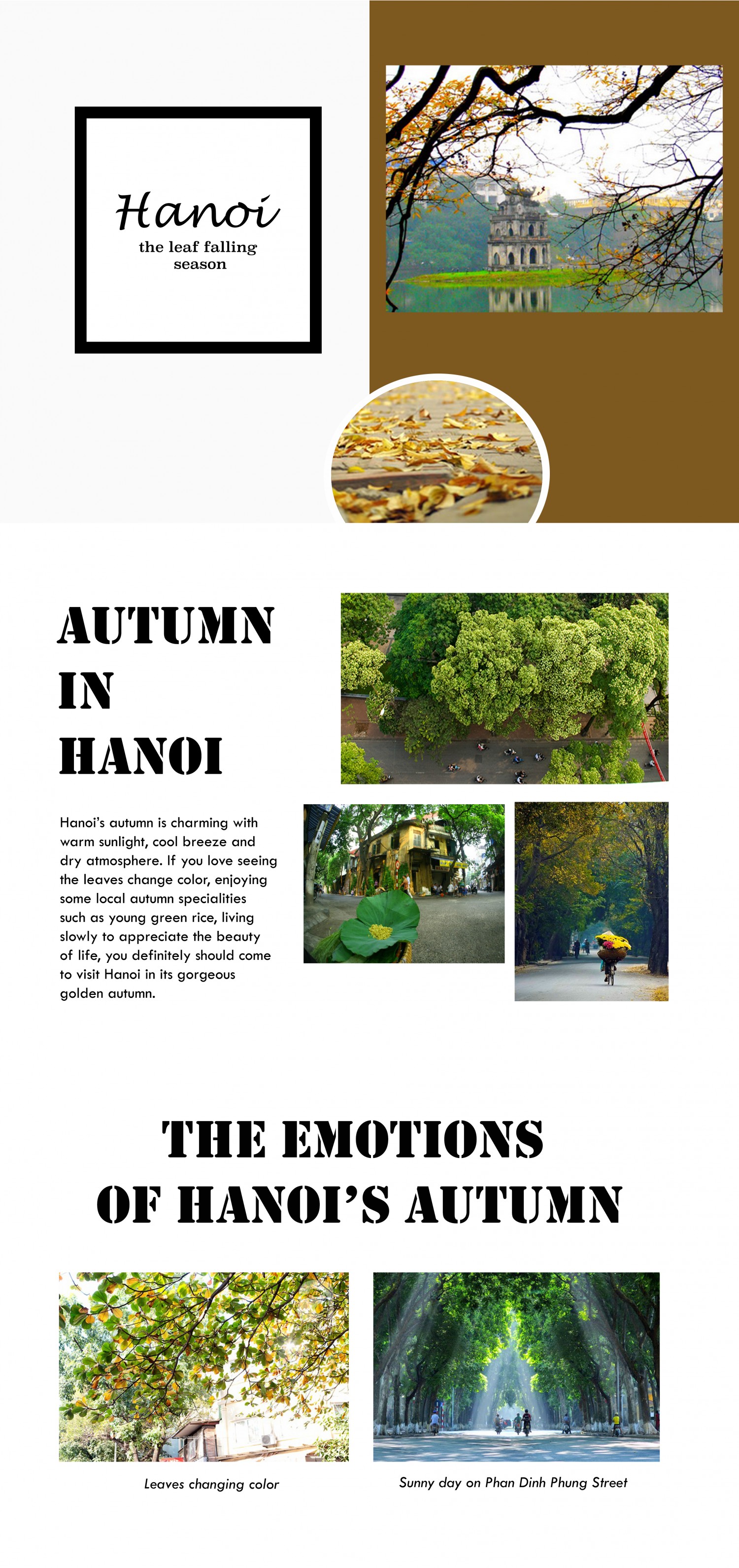 Hanoi - the leaf falling season   Full Layout version 