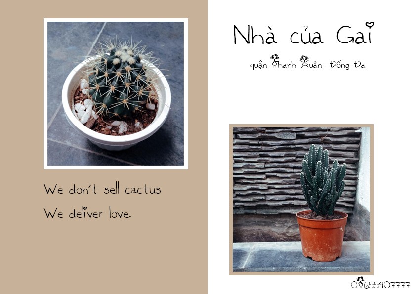 Nhà của Gai 