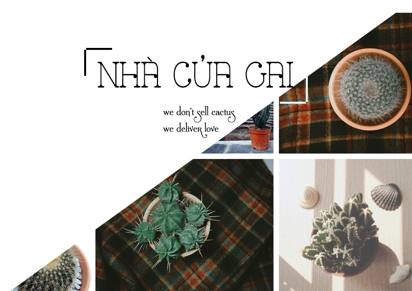 Nhà của Gai 
