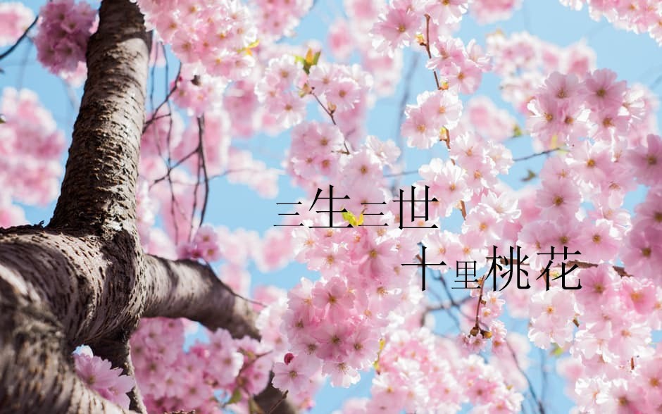 BTVN buổi 2