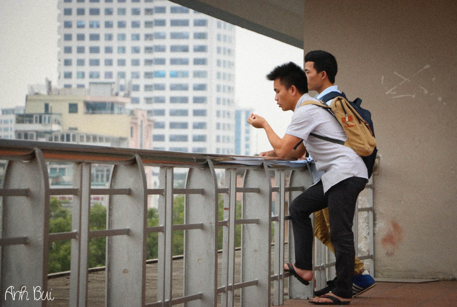 bố cục đường dẫn 