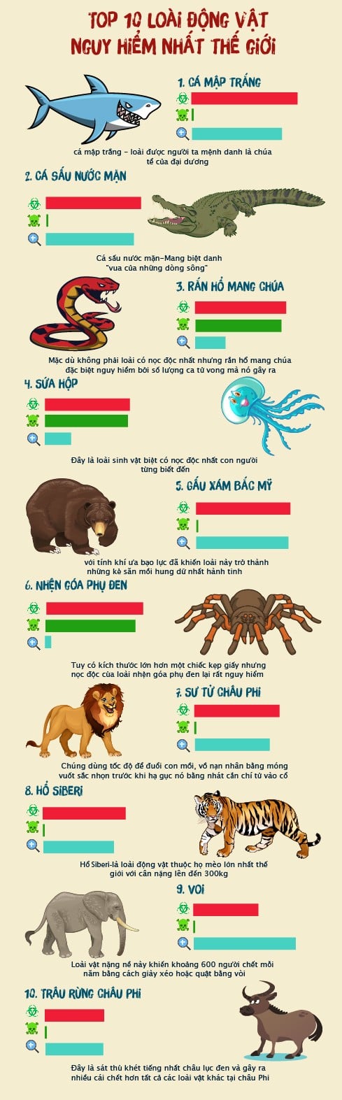 btck ai-Mạc Trung Hiếu- Ai_21.2