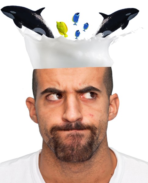 BTNV1