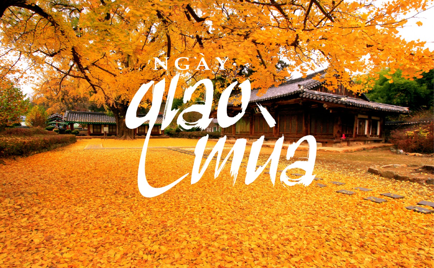 Mai Thu Huong_BTVN_AI23.6