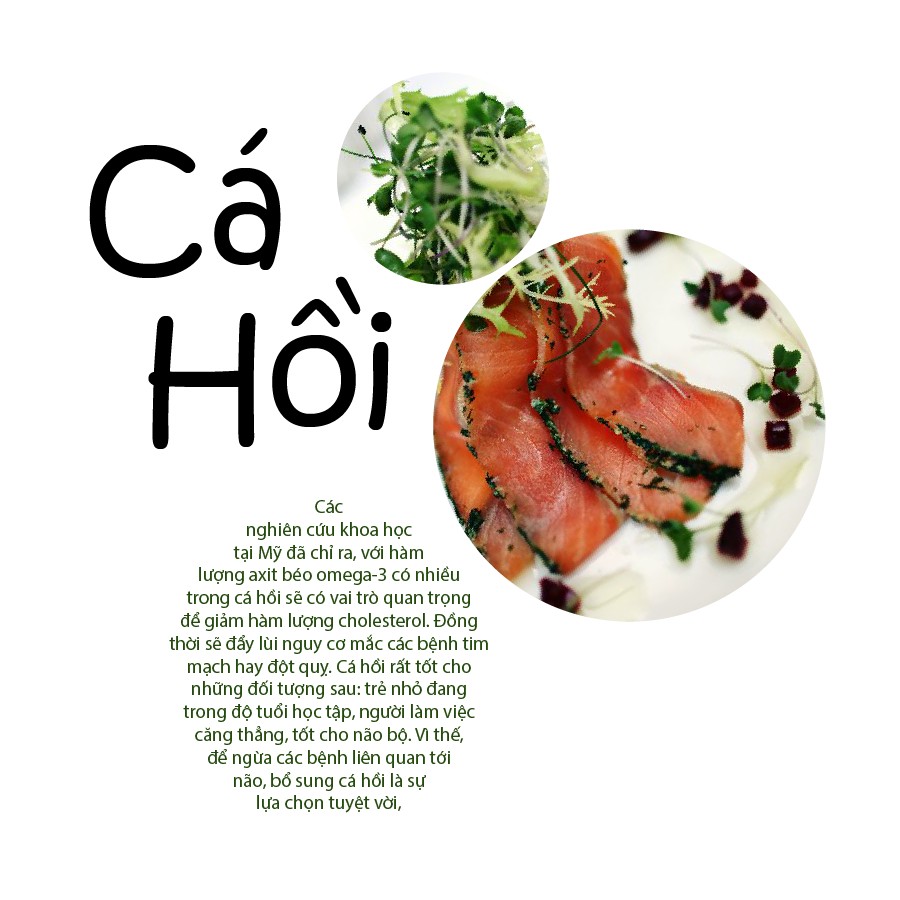 BTVN AI buổi 3