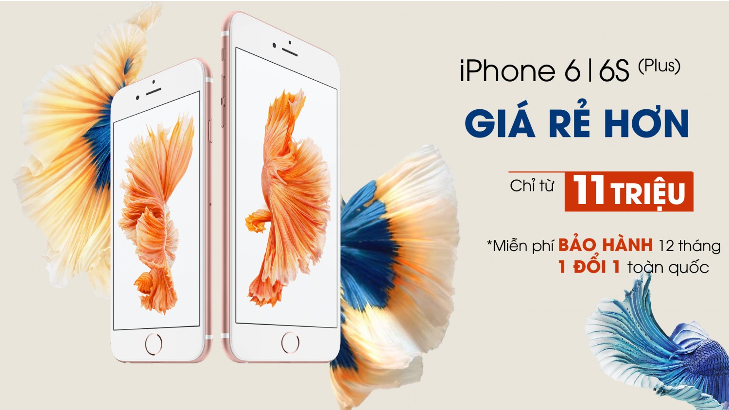 Iphone 6S