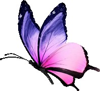 BTVN_B5_ThanhHuan