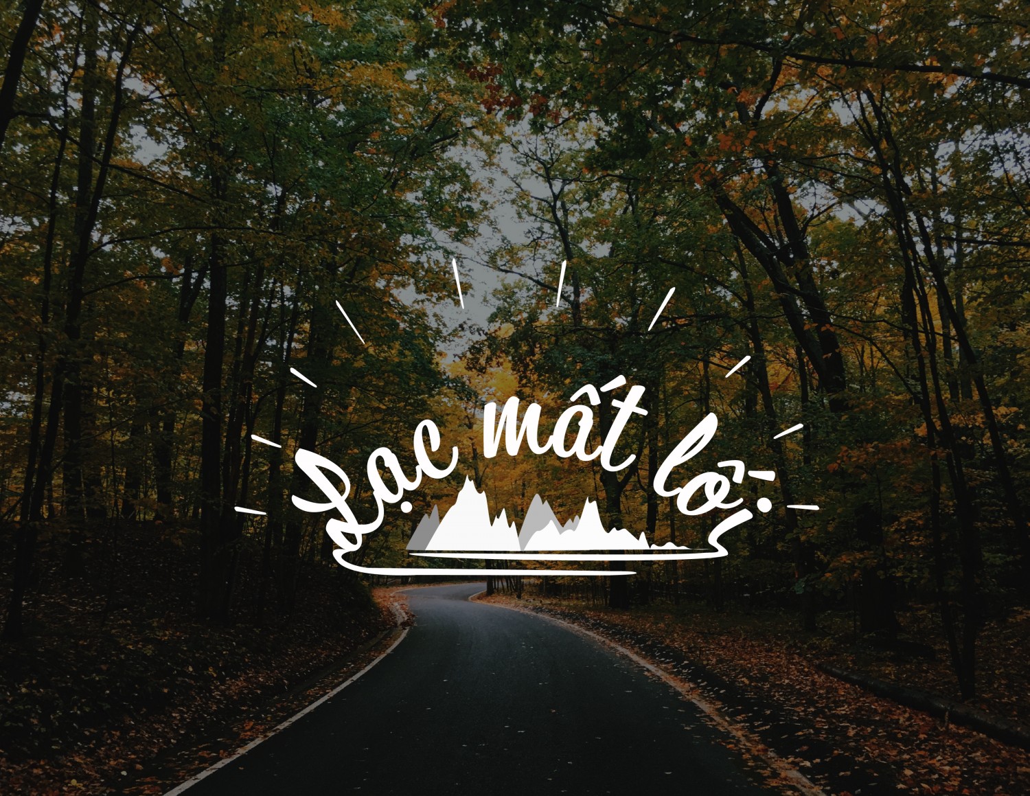 Typography 