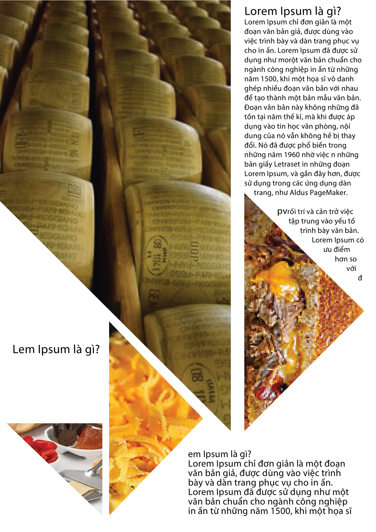 Layout buổi 5