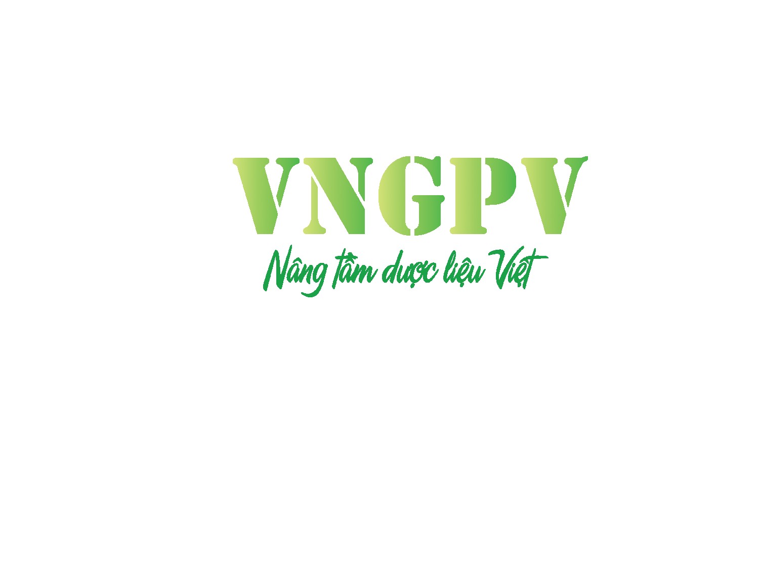 Bộ nhận diện thương hiệu của công ty Dược