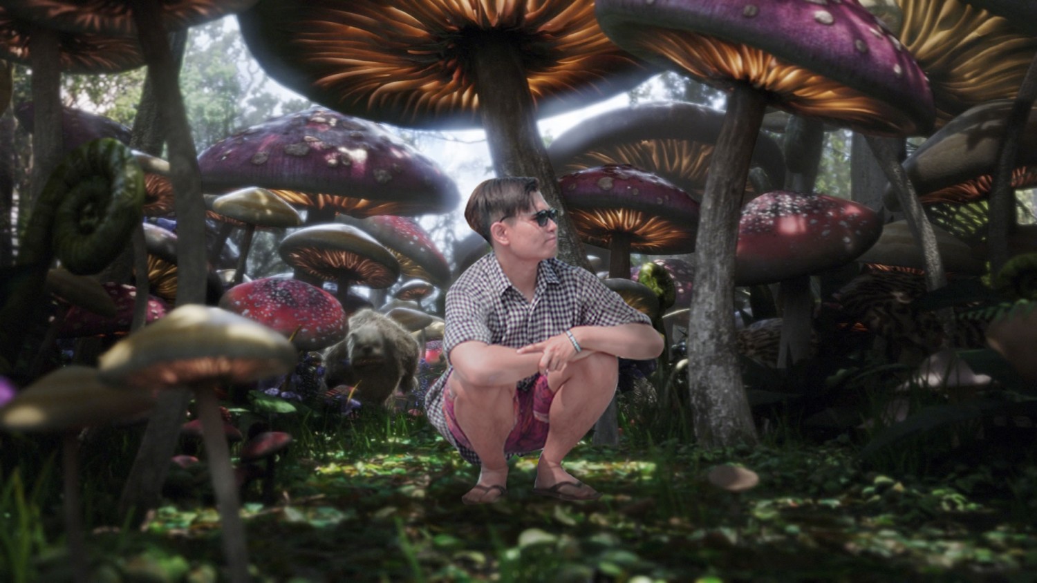 In Mushroom Land
