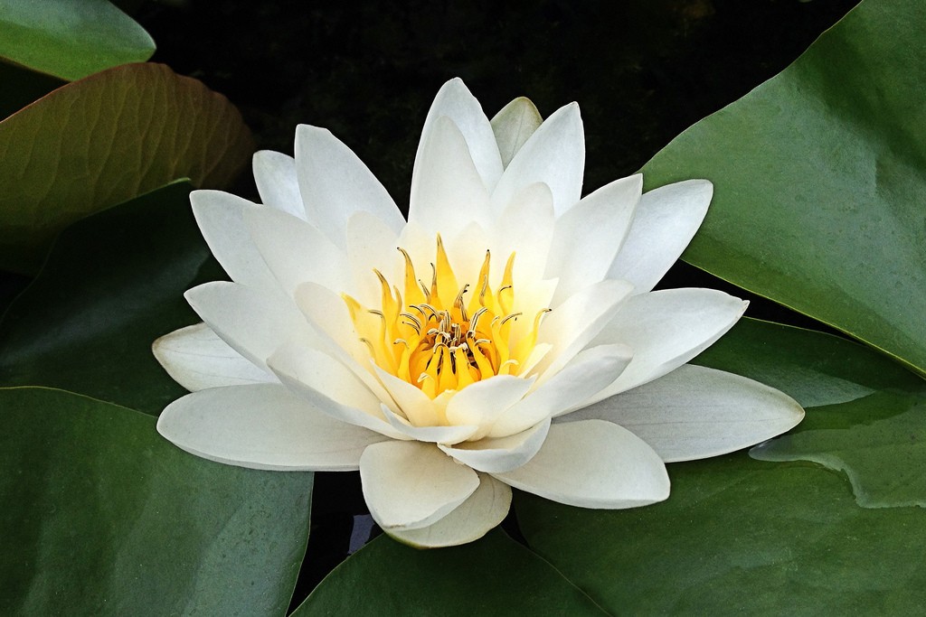 BTVN_Buổi 1_Nguyễn Thùy