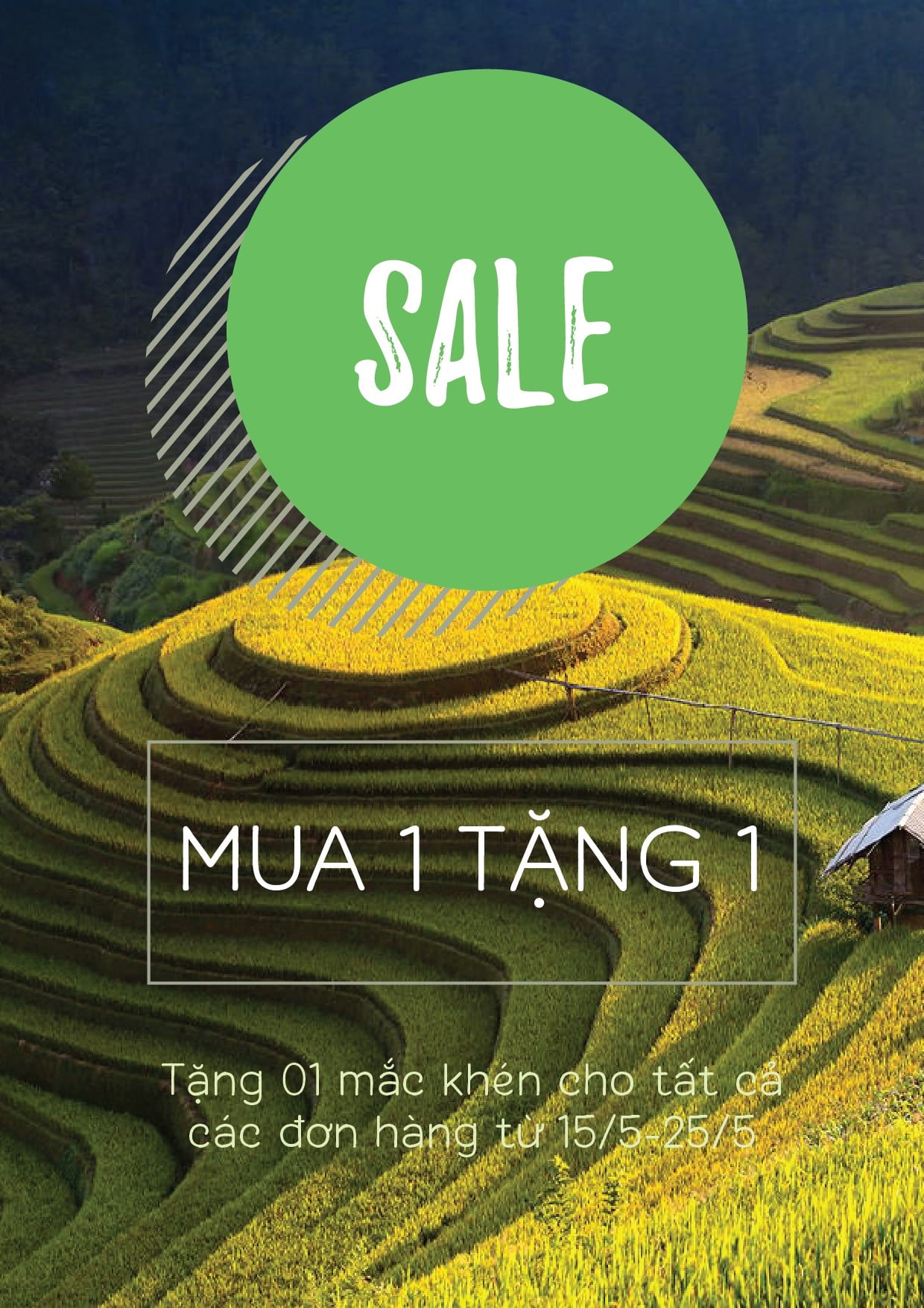 Nguyen Quoc Huy_BTVN_AI24.6