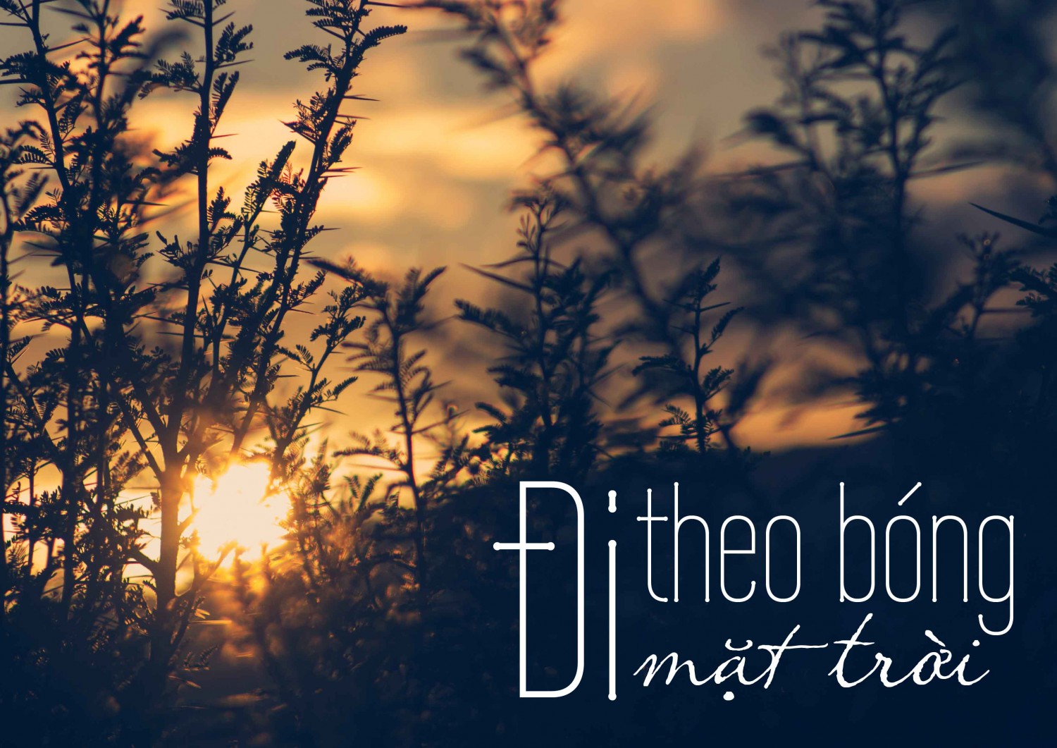 BTVN B3