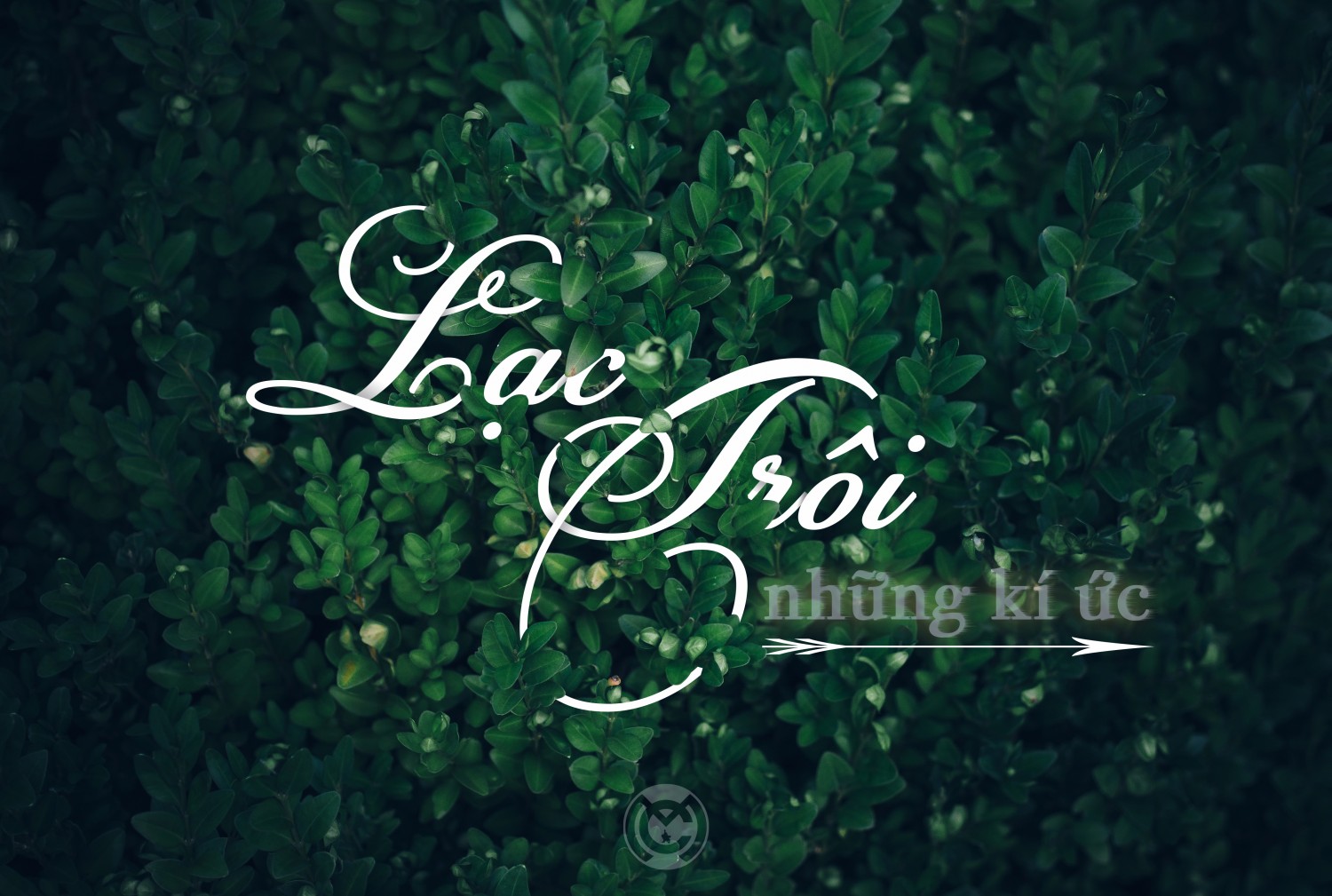 [PS] - Typography