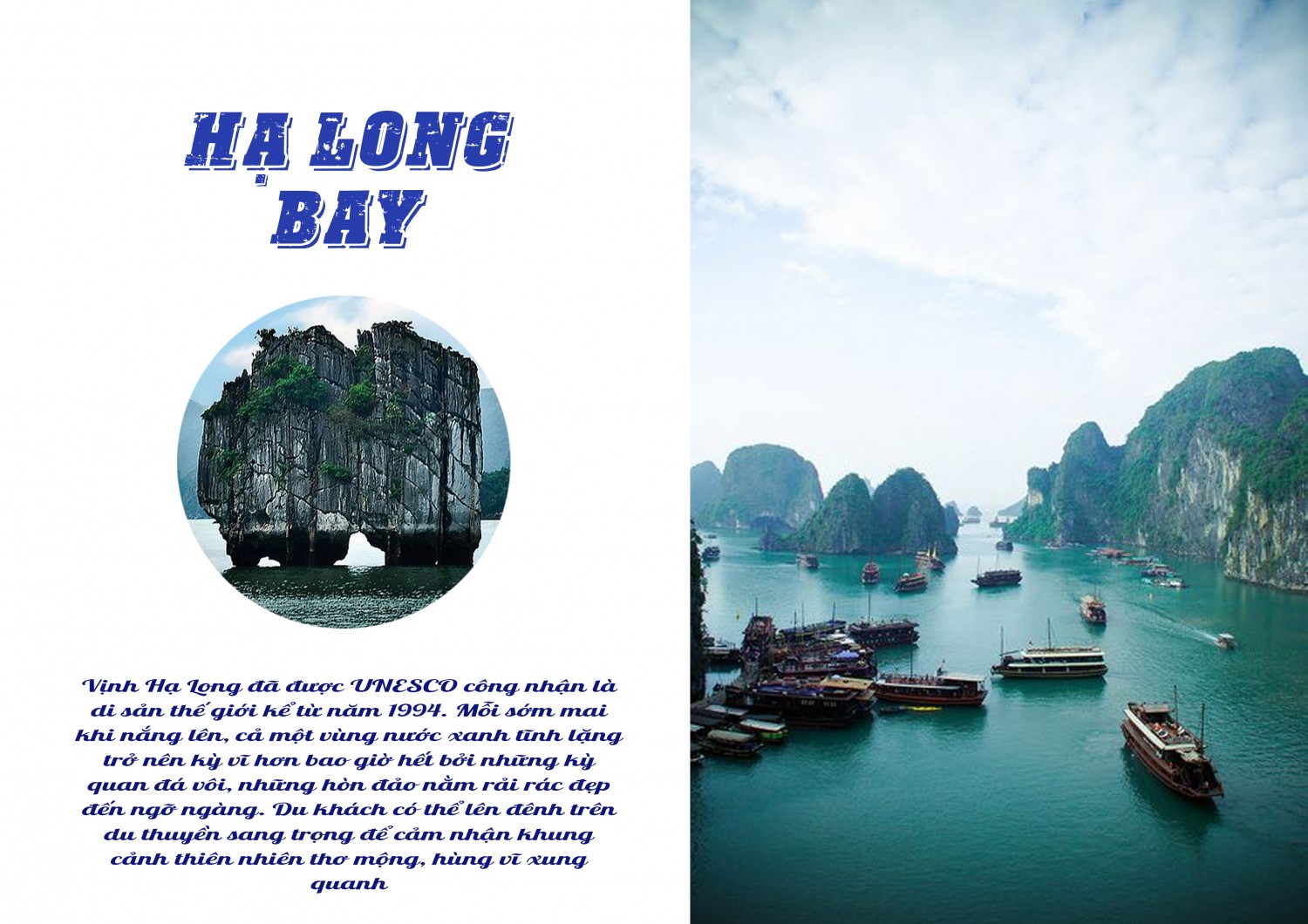 BTVN buổi 2 : Layout