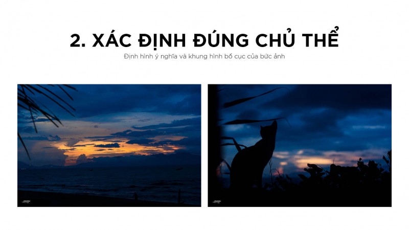 3 bước để làm nổi bật chủ thể trong nhiếp ảnh