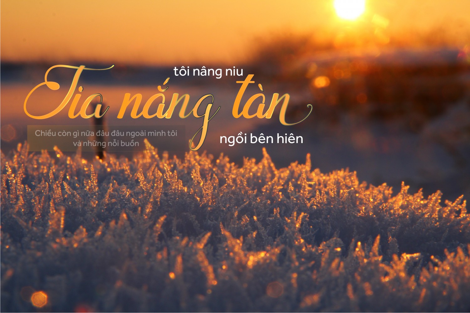 BTVN - B3 Trần Ngọc Trí - Ai 25.4 