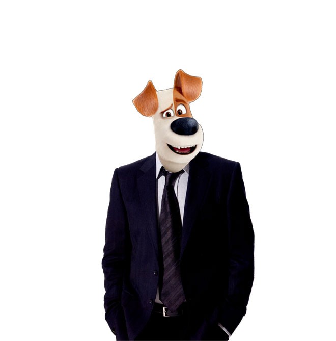 Mr. Dog