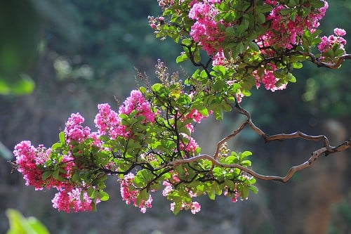 bài tập buổi 1