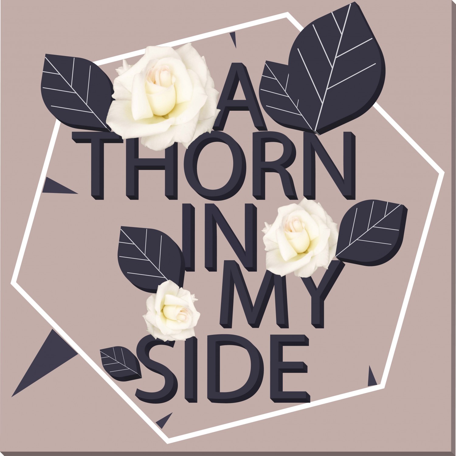 MY TYPOGRAPHY