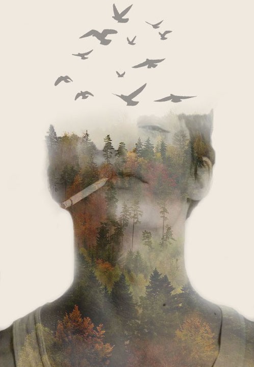 BTVN B5 - Forest double exposure