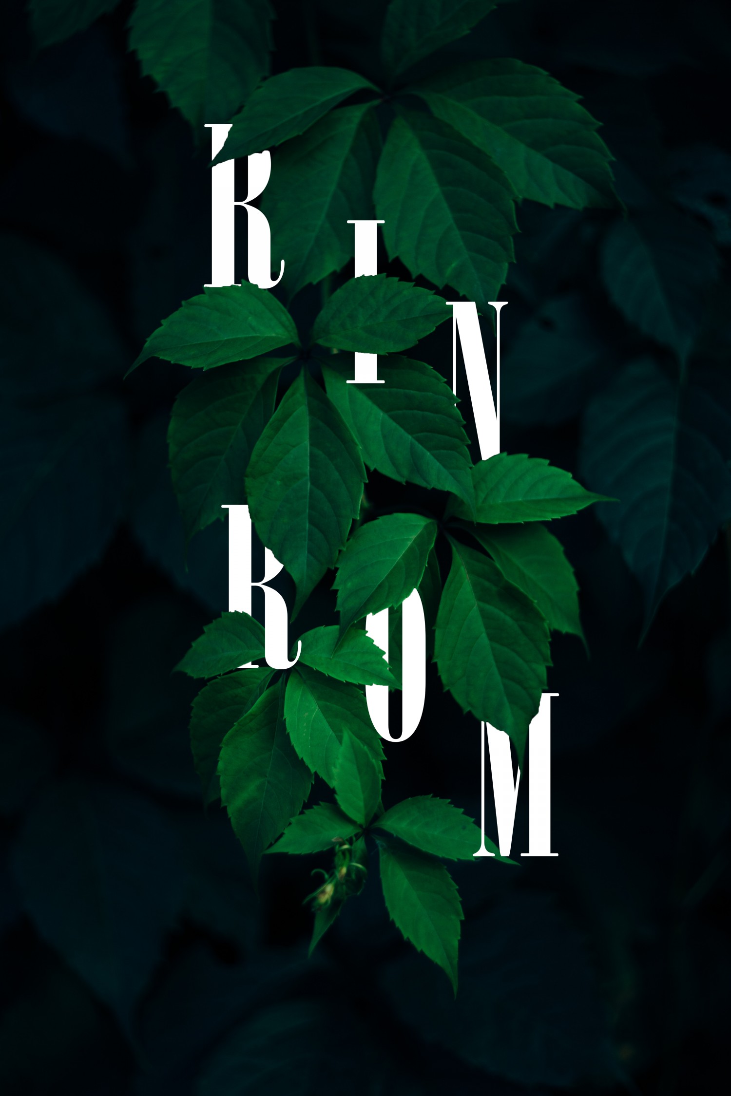 Rin Rờm
