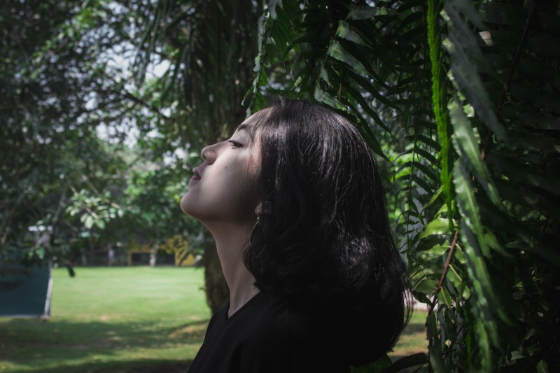 1501407376CKTwLT5wmEe6Vto.jpg