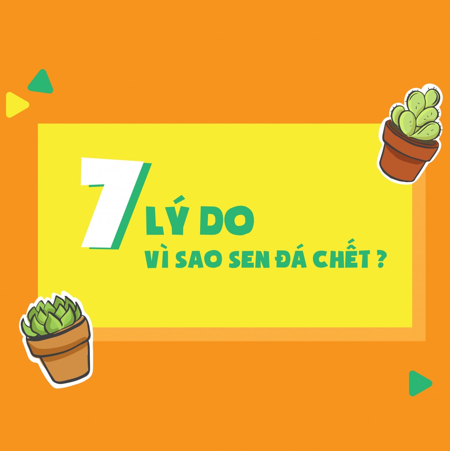 7 reasons