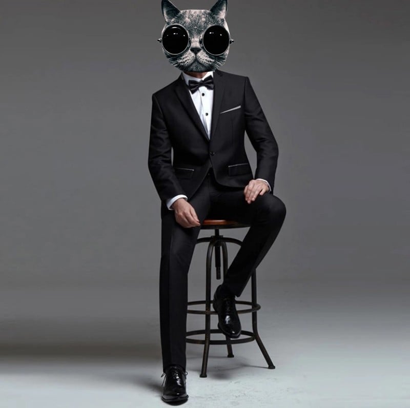 Catman