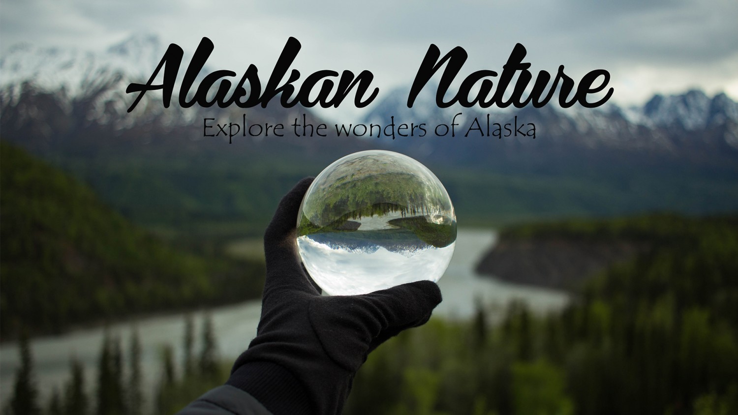 Alaska Travel Brochure