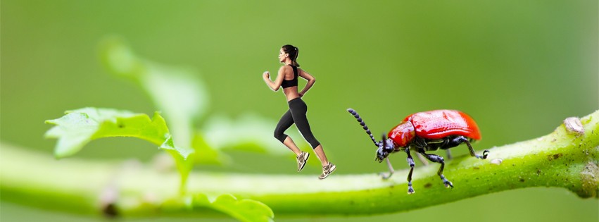 BTVN BUỔI 1_ĐỒNG HẰNG QUỲNH