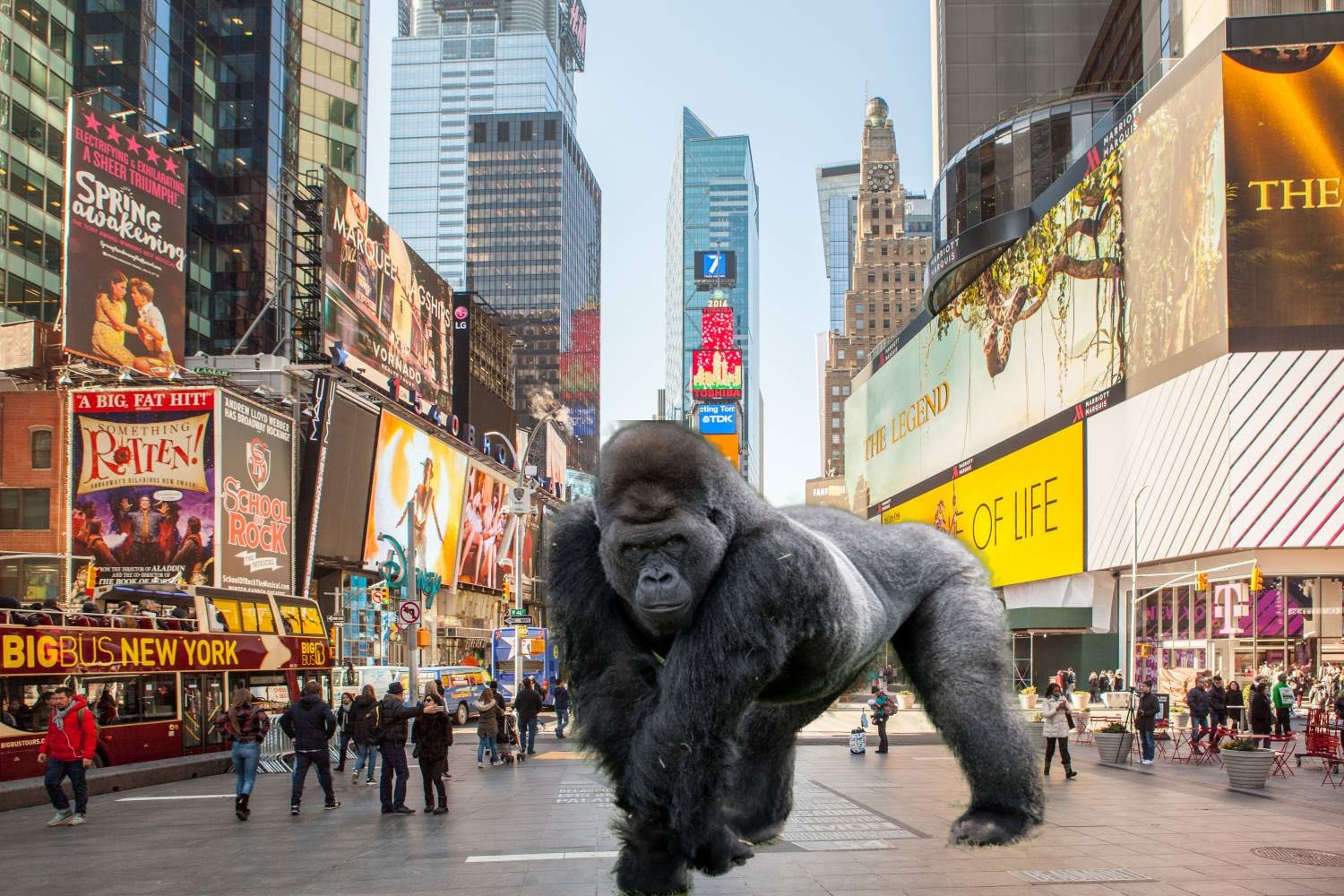 Gorilla