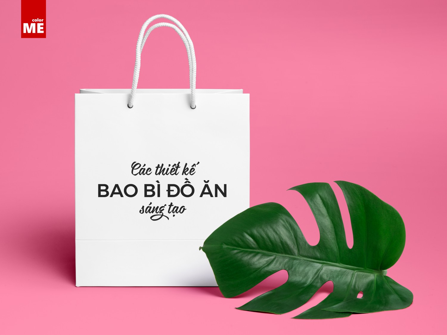 [REVISED] TRỊNH THANH HÀ - CÁC THIẾT KẾ BAO BÌ ĐỒ ĂN SÁNG TẠO