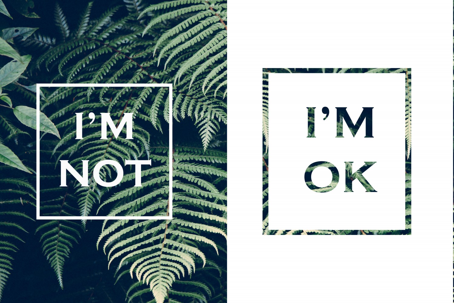 OK or NOT?