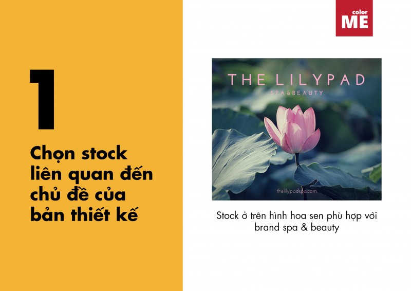 Lưu ý khi chọn ảnh stock