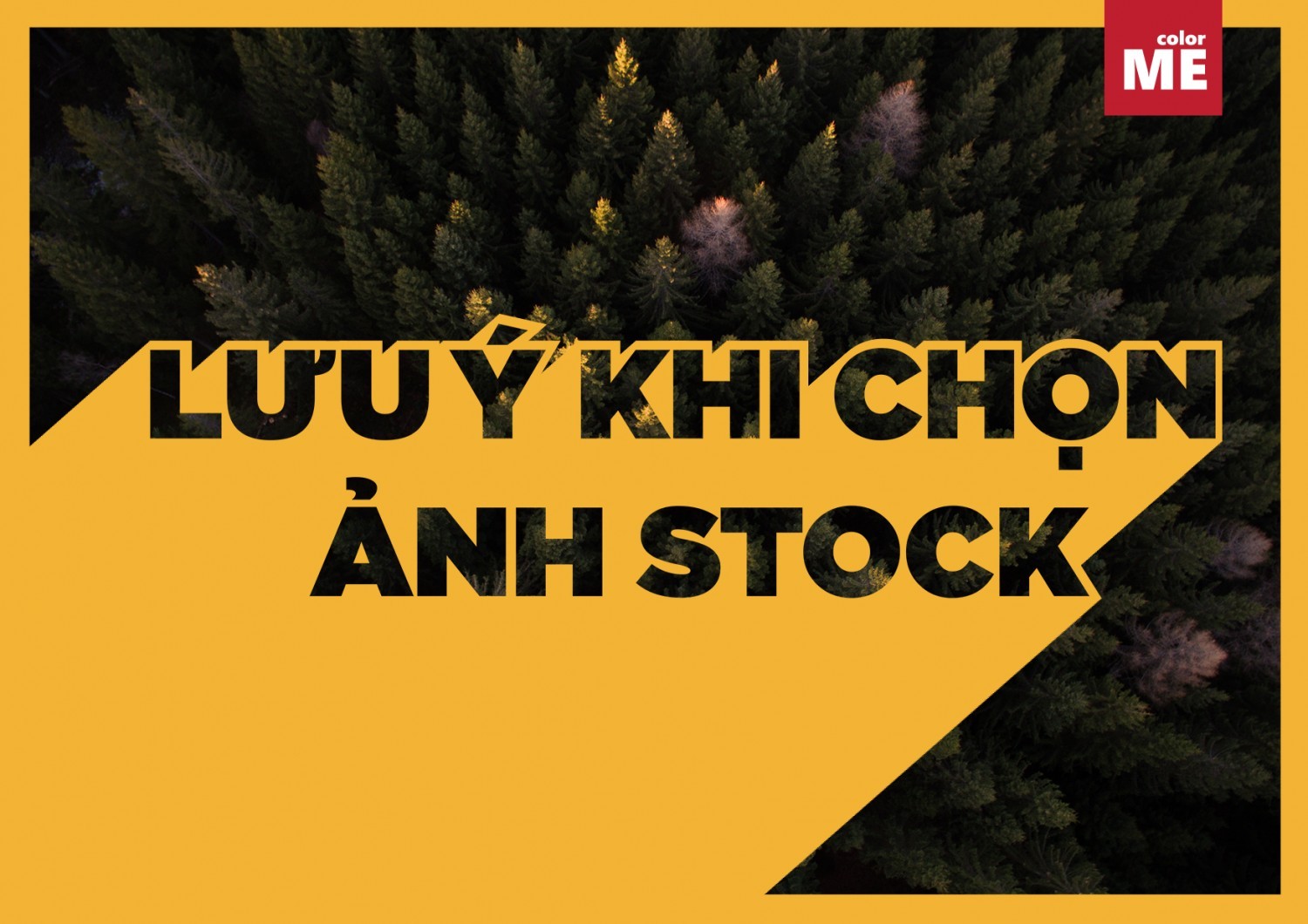 [REVISED] MINH TRIỀU - NHỮNG LƯU Ý KHI CHỌN ẢNH STOCK