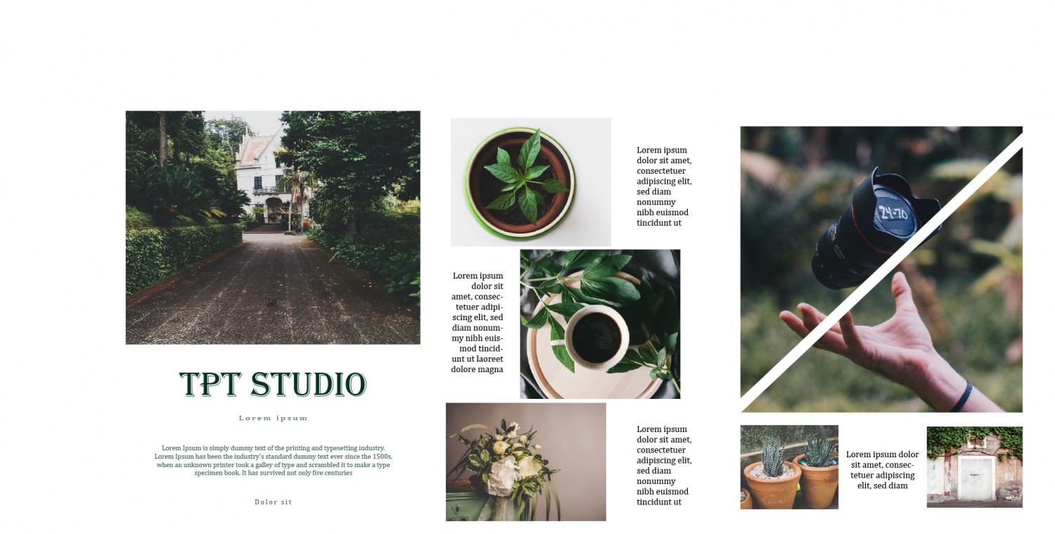 Layout