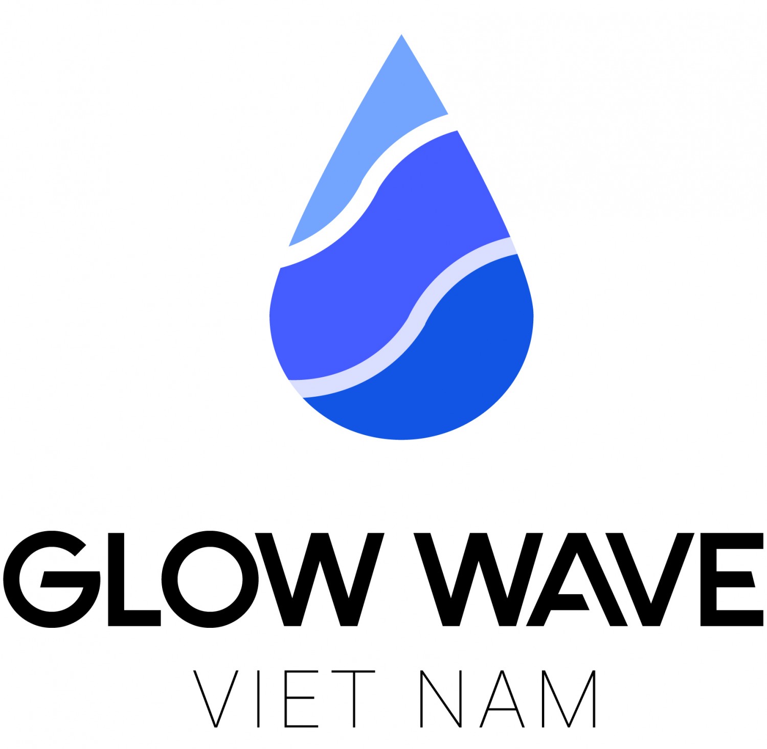 BTVNLogobrandguidelines