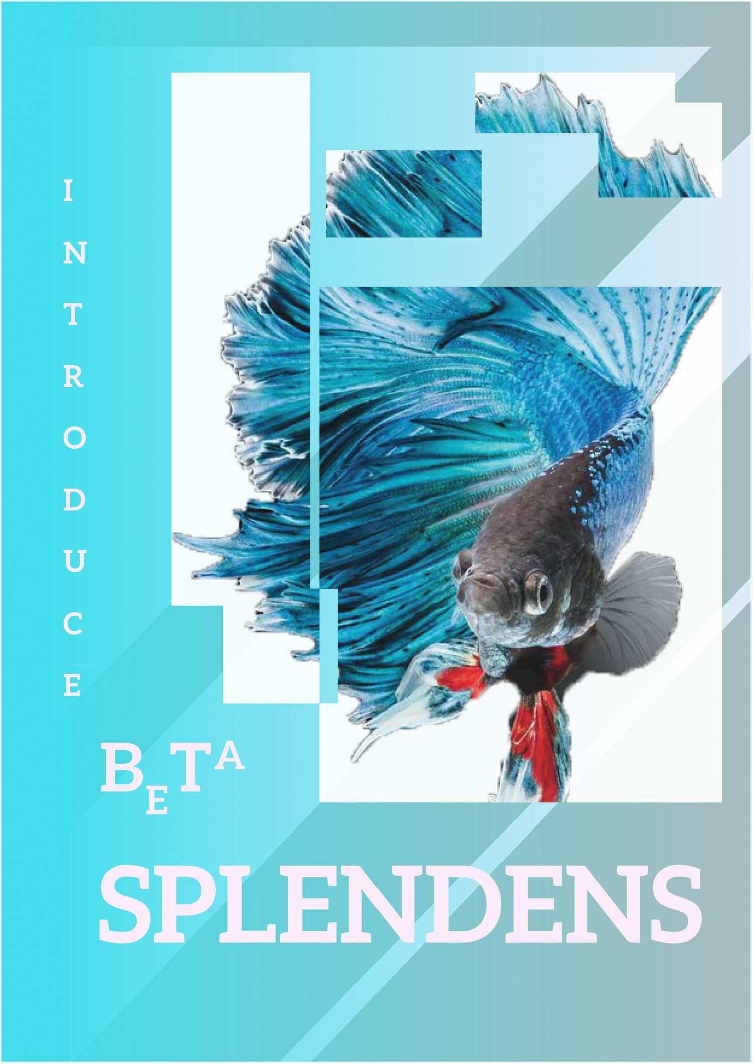 [AI] - BTVN 5