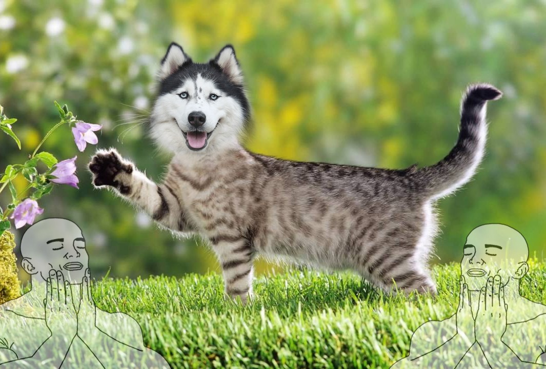 zz
