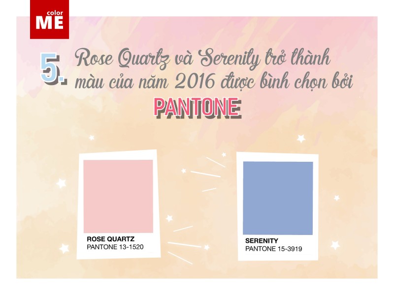 Gam màu Pastel và những điều bạn có thể chưa biết