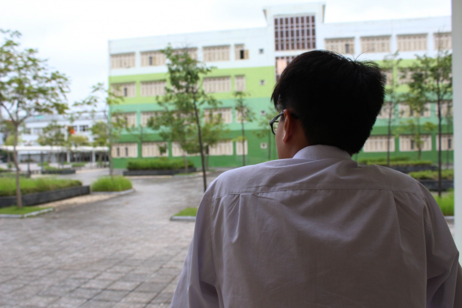 Ảnh bố cục 1  3