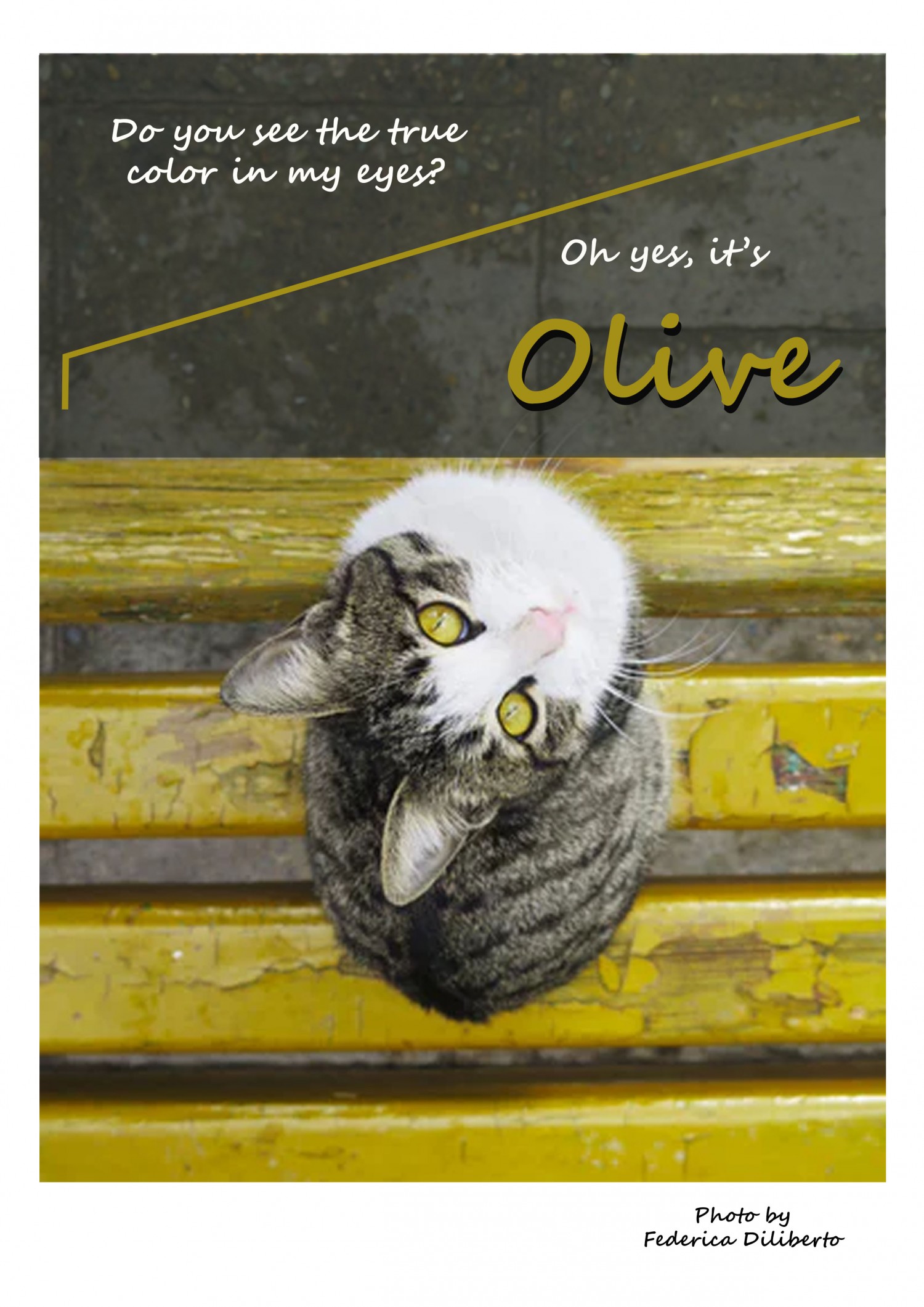 Olive eyes