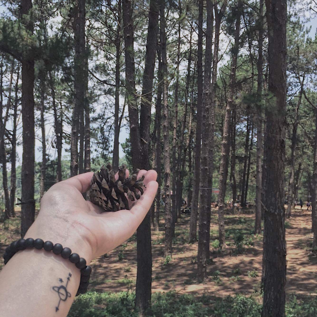 Bài tập buổi 2
